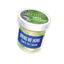 SAMS ICE-CREAM SERENE 500ML