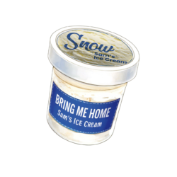 SAMS ICE-CREAM SNOW 500ML