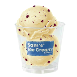 SAMS GELATO NZ CHEESE MIX BERRIES