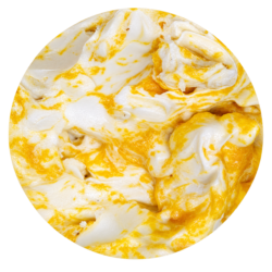 FROZEN YOGURT ORANGE