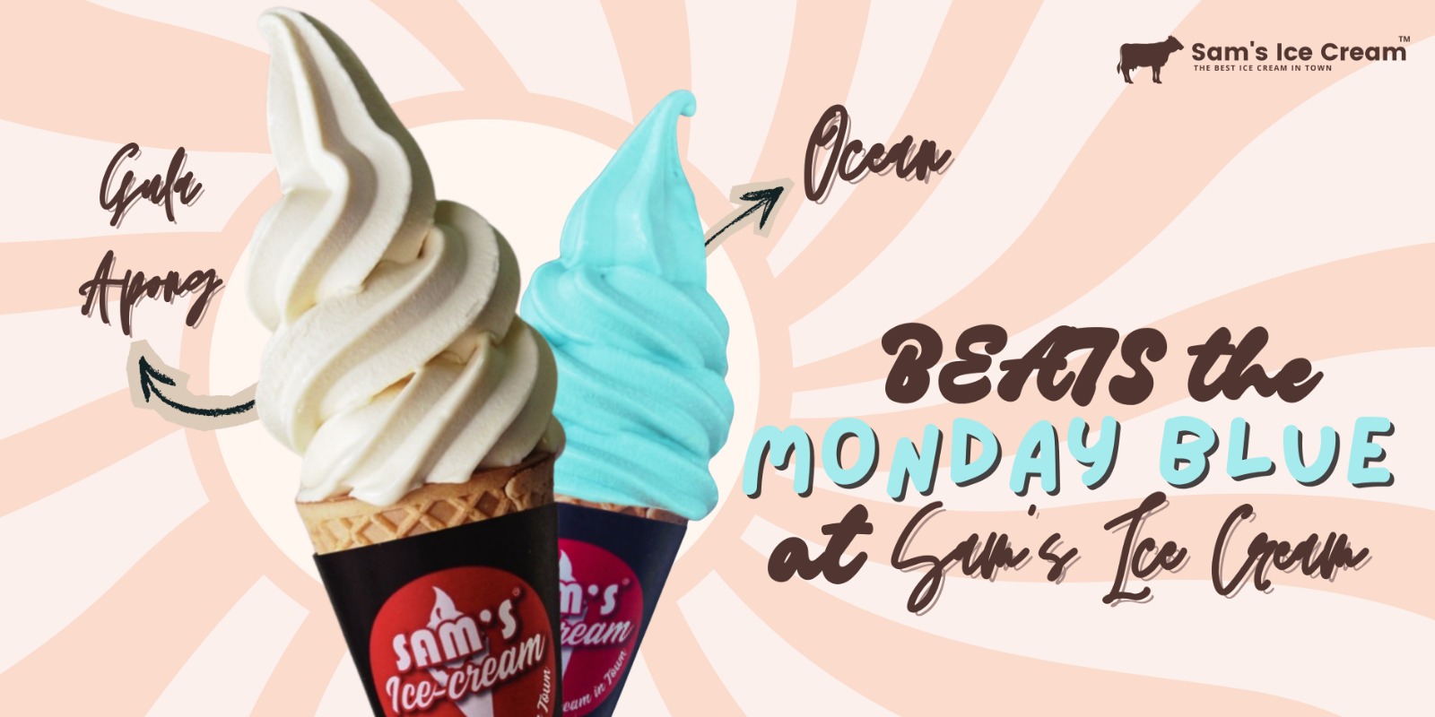 WhatsApp Image 2026-01-23 at 11.54.00