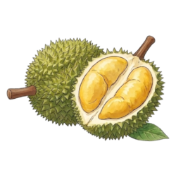 DURIAN