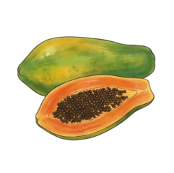 PAPAYA