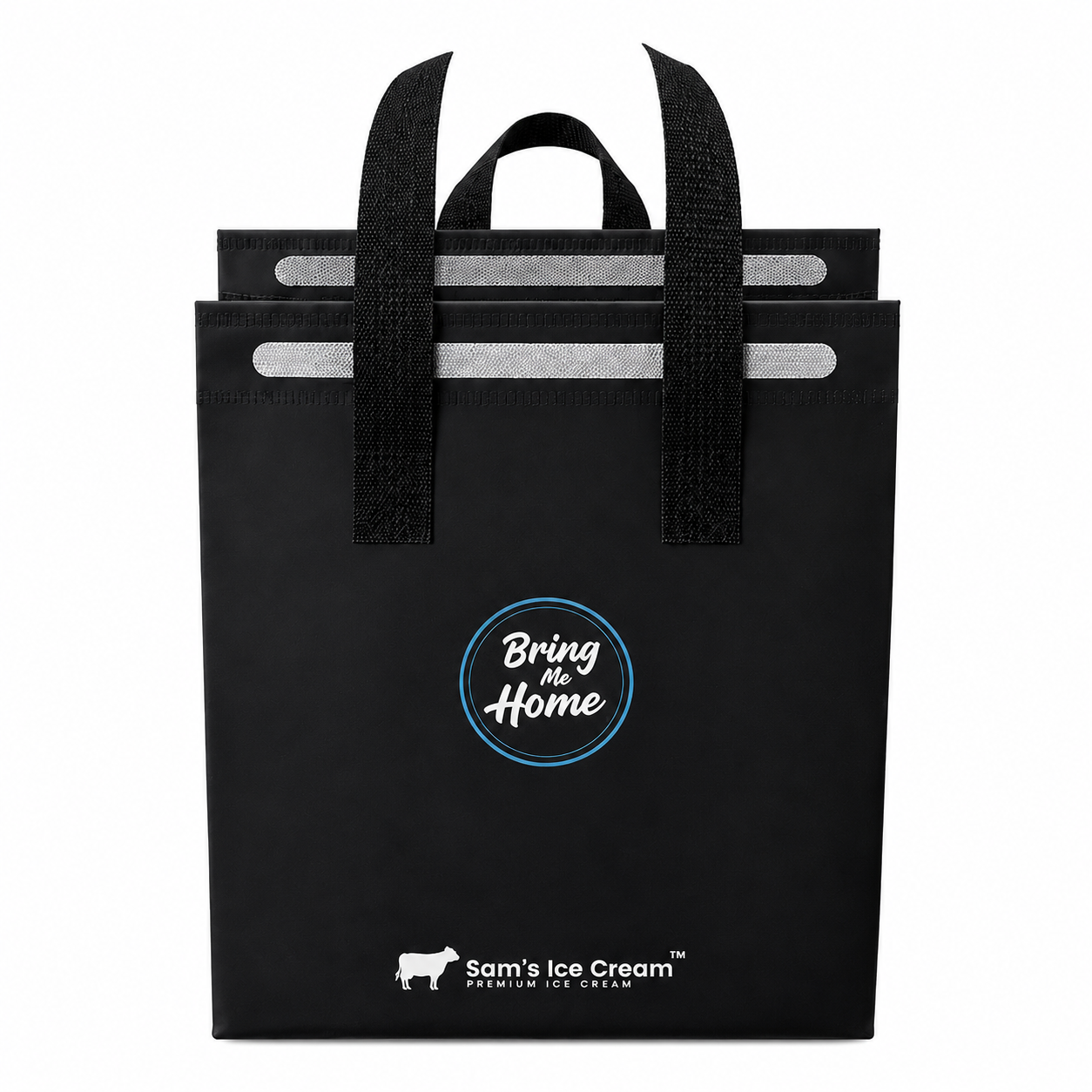 SIC 20X11X25.5CM COOLER BAG